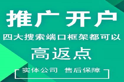 百度推广公司案例解析：如何利用大数据优化营销策略